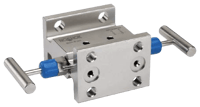 Noshok 2-Valve Liquid Level Manifold Valve, 2020/2120 Series